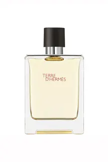 Terre D Hermes  Edt 100 ML