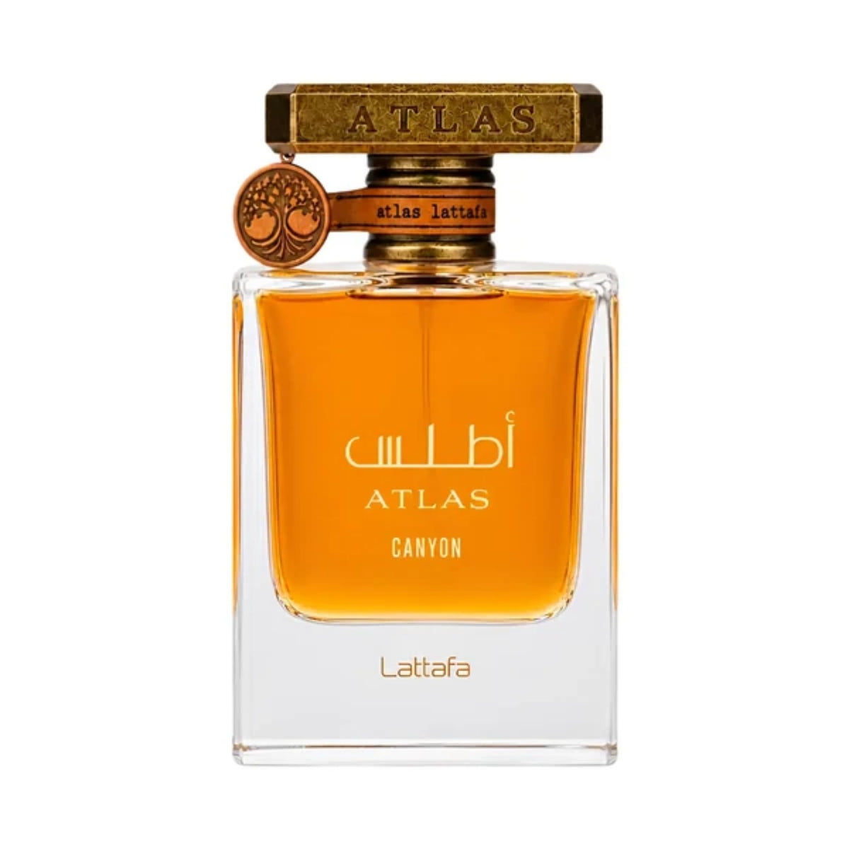 Lattafa Atlas Canyon Eau De Parfum for Men 55 ml - Rini Deals