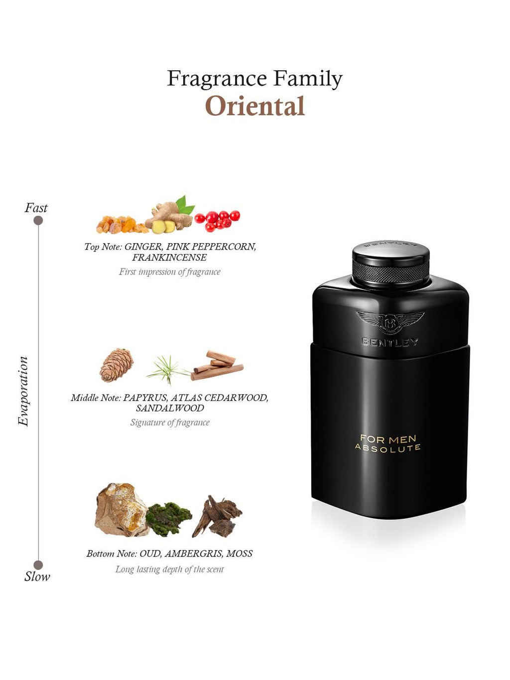Bentley Absolute Eau De Parfum For Men 100ml