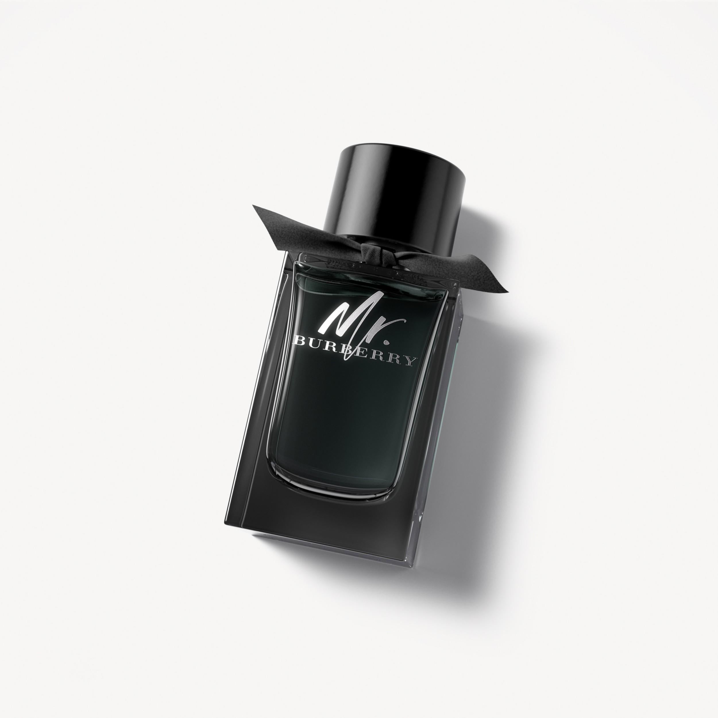 Mr. Burberry Eau de Parfum For Men 100ml
