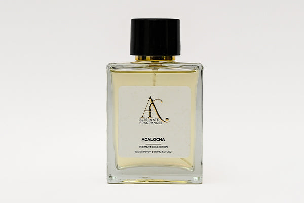 Agalocha Extrait de Parfum by Rini Deals displayed in a sleek 100ml bottle with elegant packaging.