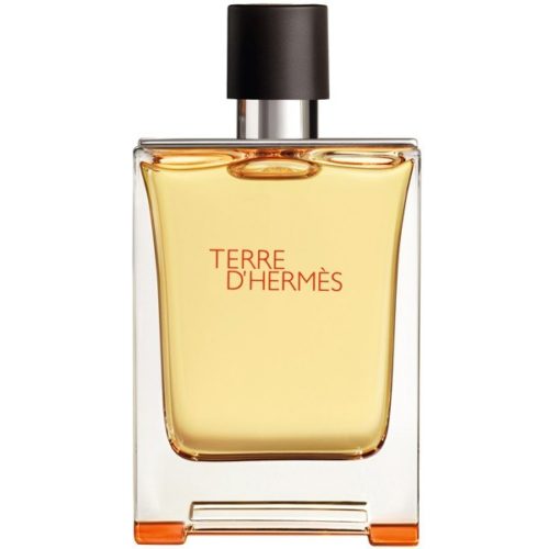 Hermes Terre D'Hermes EDT 100ML for Men
