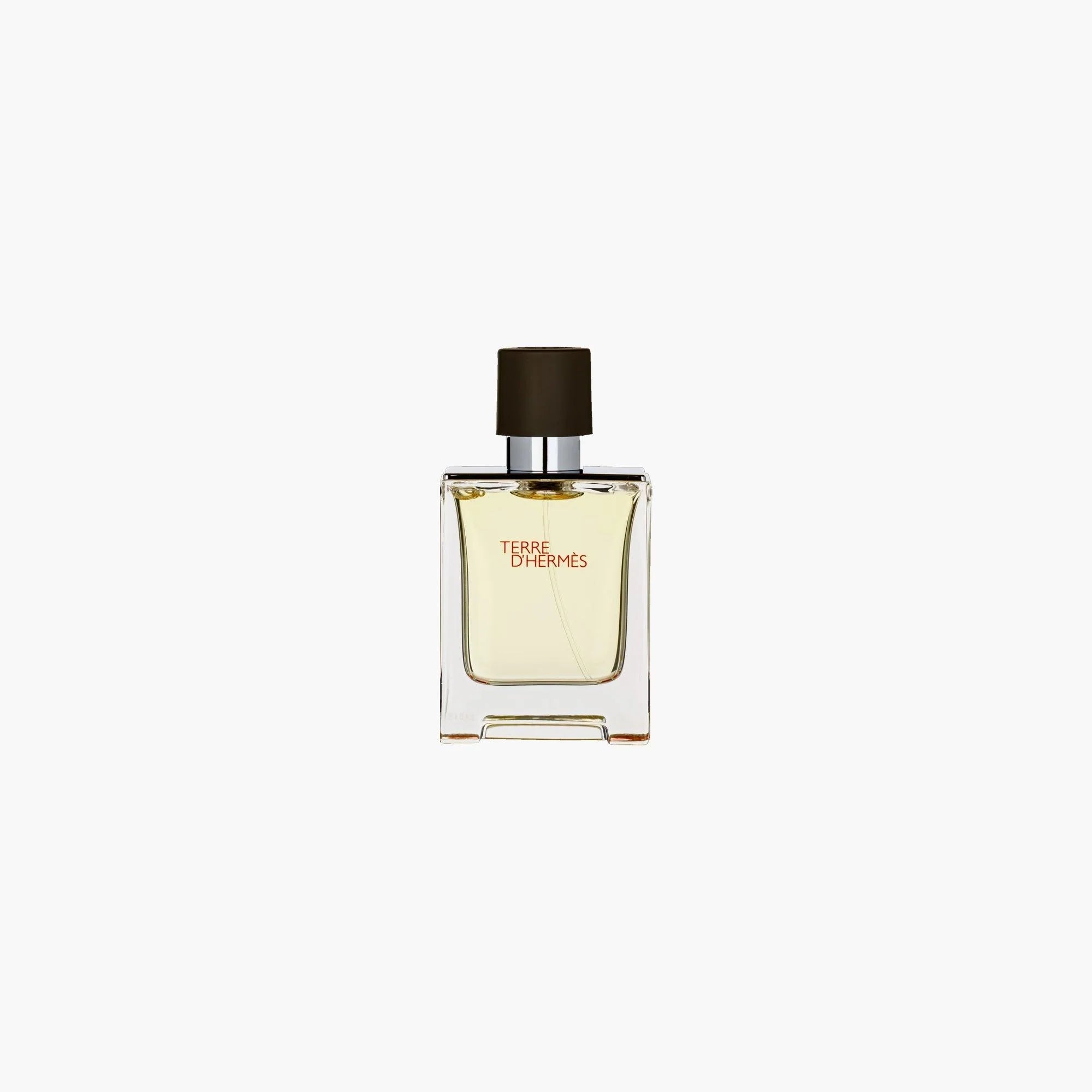 Hermes Terre D'Hermes Pure Perfume Eau De Parfum 5ml (Miniature)