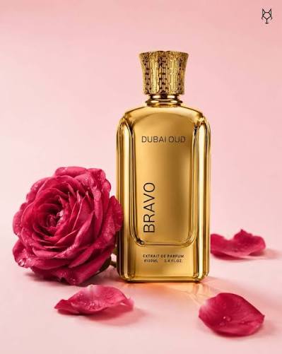 Bravo Dubai Oud Gold Edition 100ml EDP
