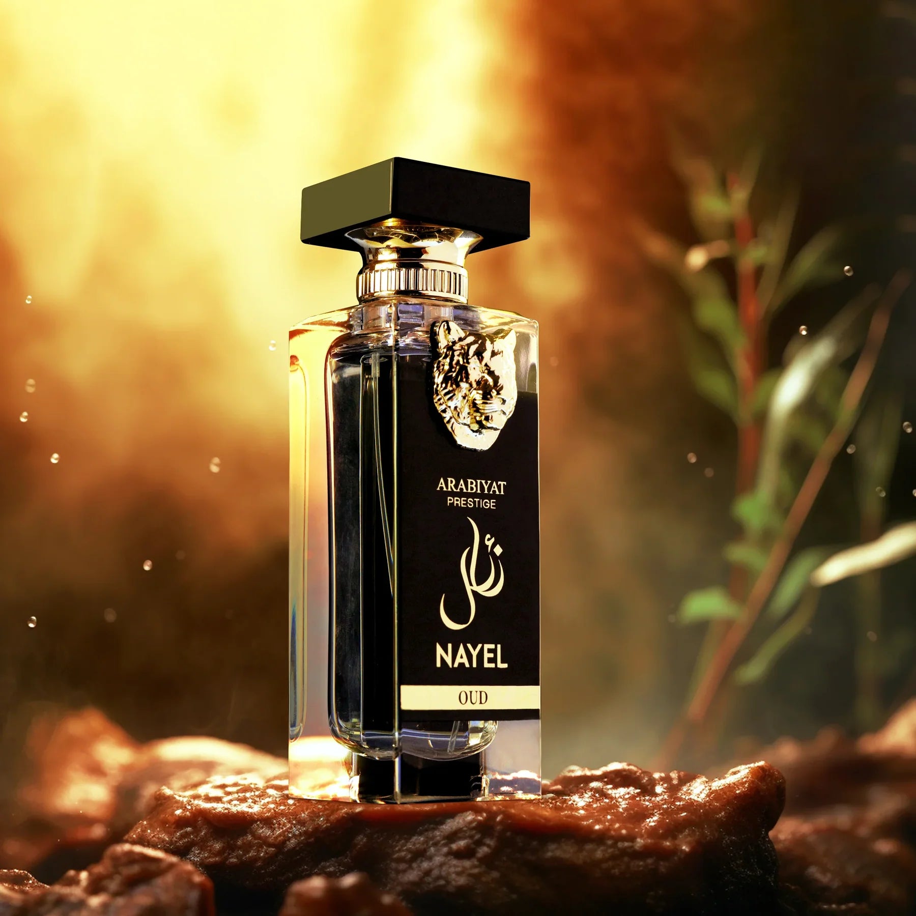 Arabiyat Prestige Nayel Oud Eau De Parfum 70ml bottle with elegant packaging, suitable for men and women, by Rini Deals