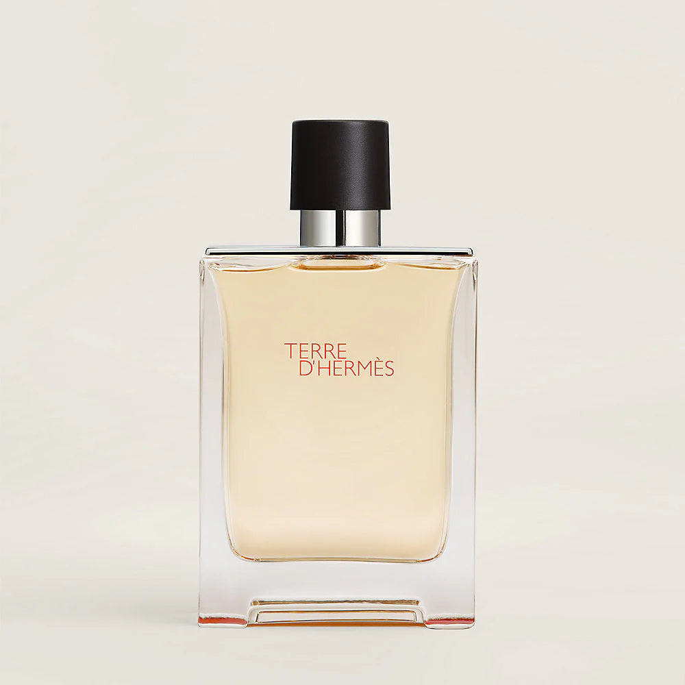 Hermes Terre de Hermes Eau de Toilette for Men 100ml