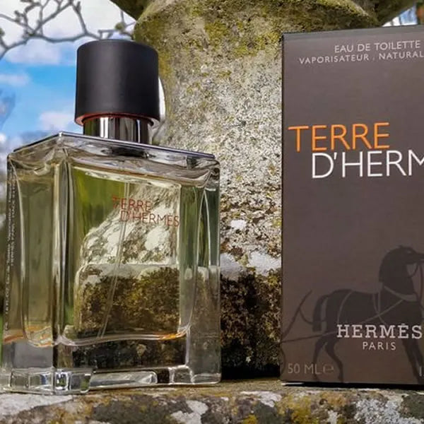 Hermes Terre de Hermes Eau de Toilette for Men 100ml