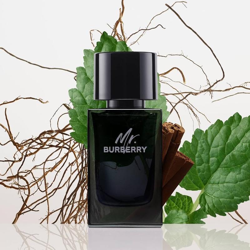 Mr. Burberry Eau de Parfum For Men 100ml